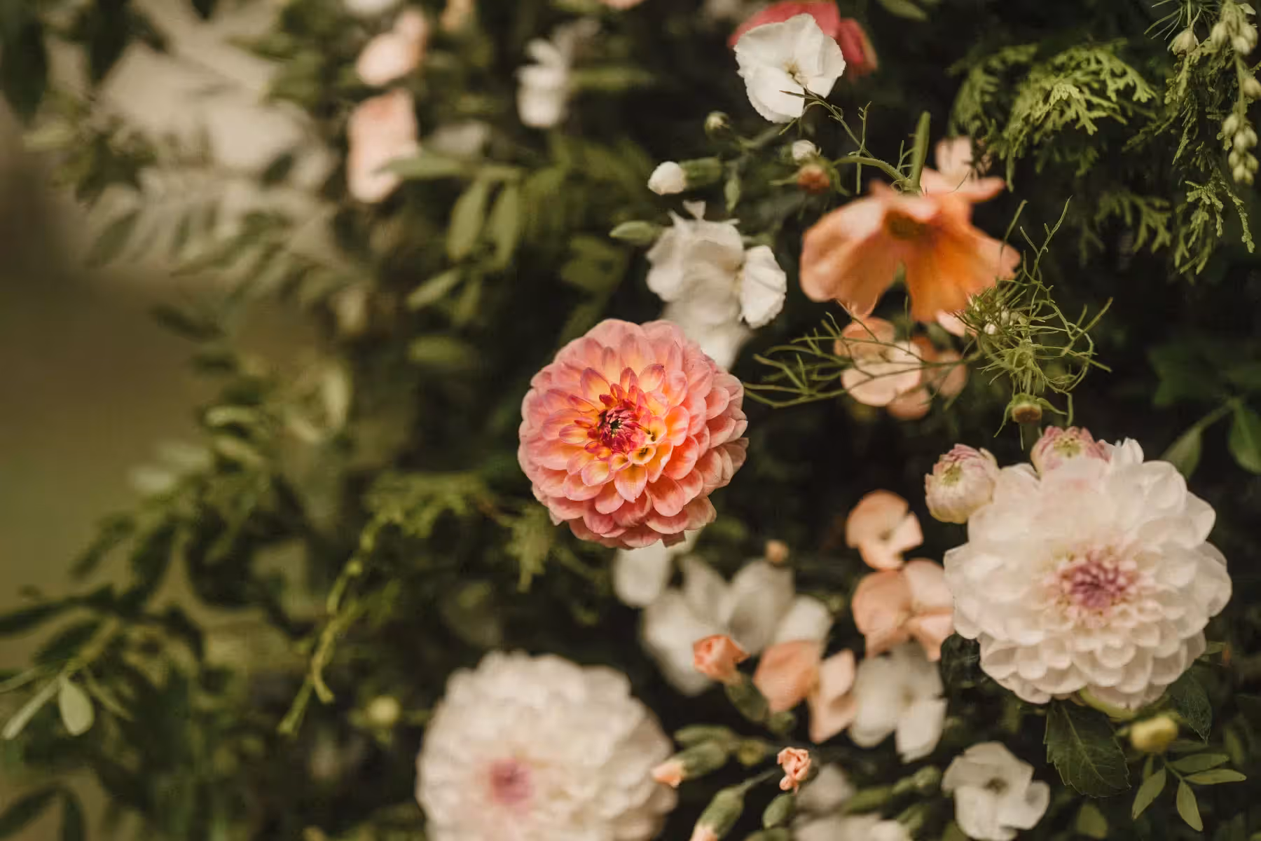 Vlada & Donatas wedding