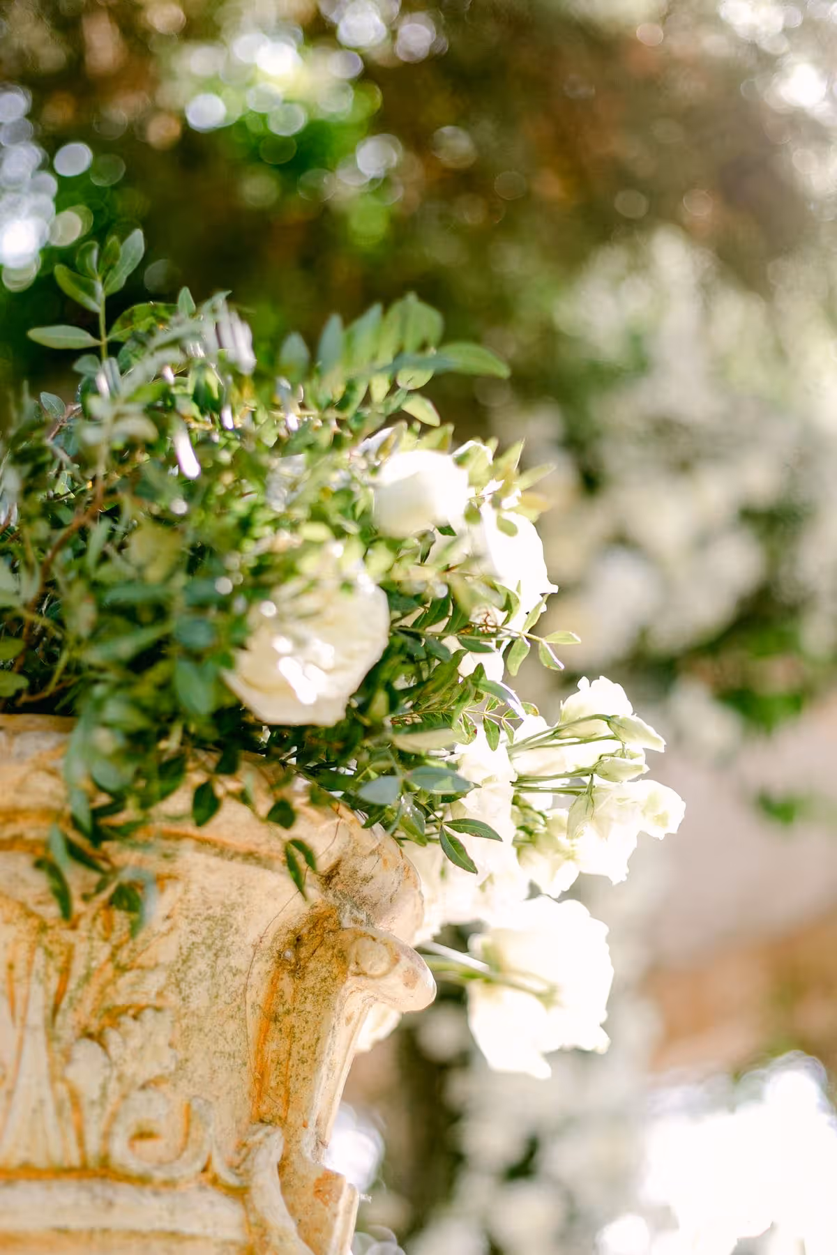 Katerina & Ivan wedding