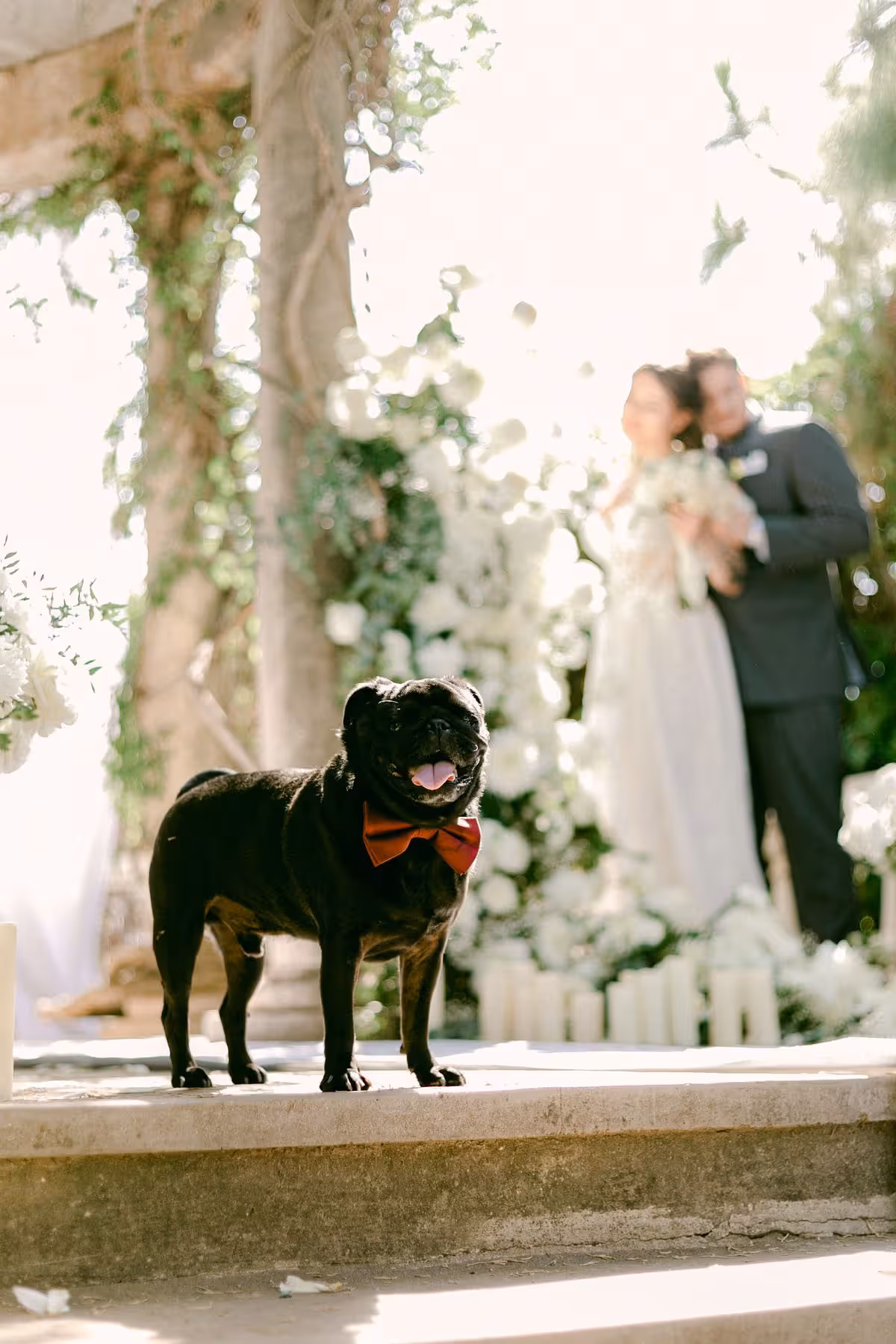 Katerina & Ivan wedding