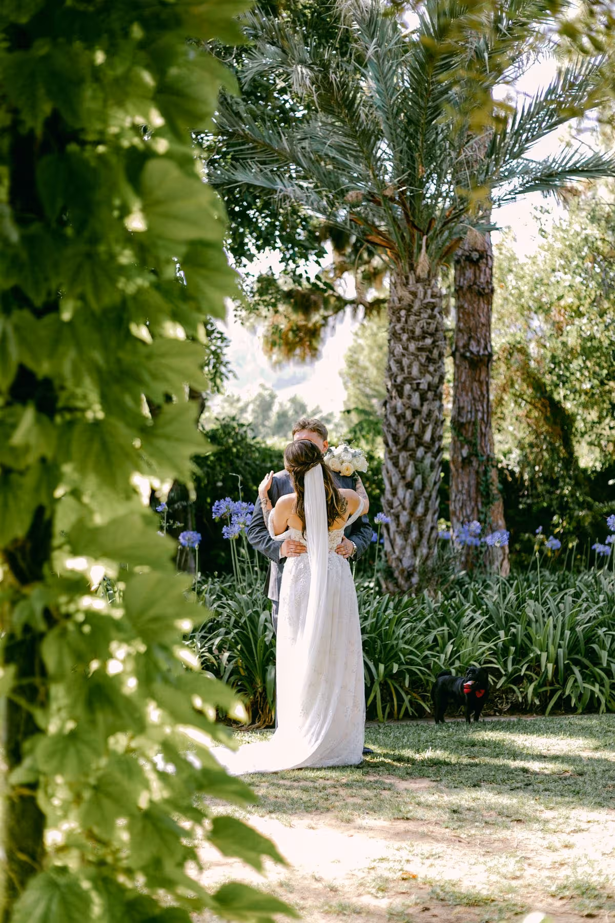 Katerina & Ivan wedding